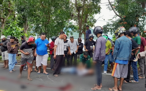 Tertimpa Pohon Tumbang Seorang Pengendara Motor Di Ternate Meninggal Dunia Indotimur