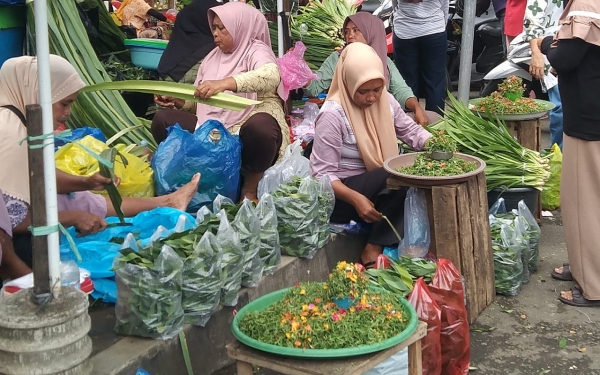 Berkah Ramadan Pedagang Daun Pandan Di Ternate Raup Keuntungan Indotimur 3347