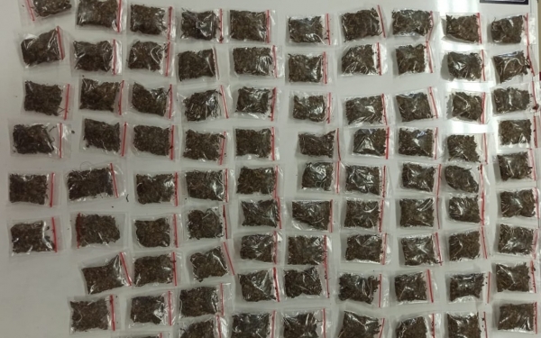 BB ganja yang diamankan petugas BNNP Maluy BB ganja yang diamankan petugas BNNP Maluy