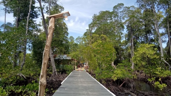 Wisata Mangrove Kacepi. Foto: Rajif Duchlun/cermat